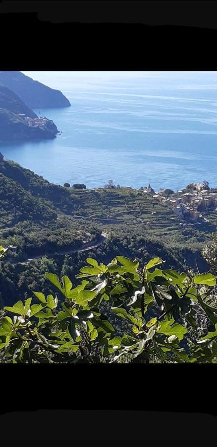 Residenza Solferino Leilighet Corniglia Eksteriør bilde